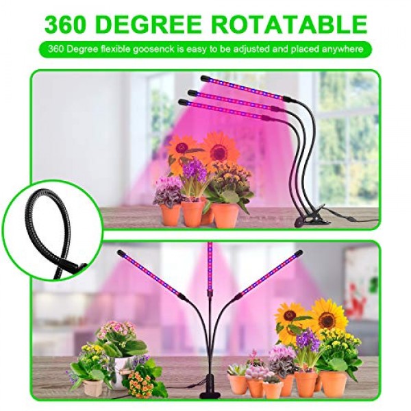 Grow Light, Ankace 2019 Upgraded Version 60W Tri Head Timing 60 LE...
