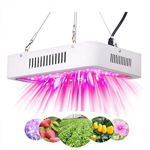 600W LED Grow Light for Indoor Plants,Green House Lights,Grow Lamp...