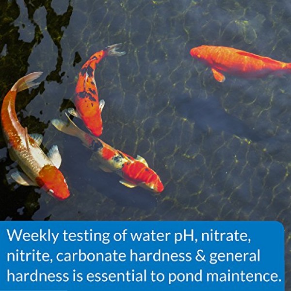 API POND 5 IN 1 POND TEST STRIPS Pond Water Test Strips 25-Count