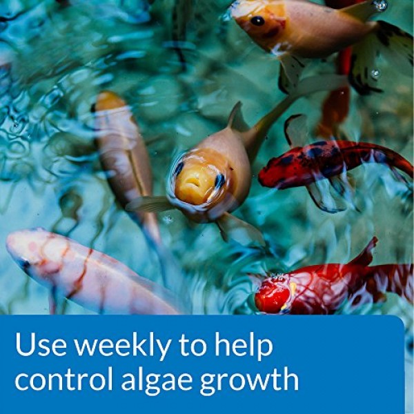 API POND ALGAEFIX Algae control 1-Gallon Bottle