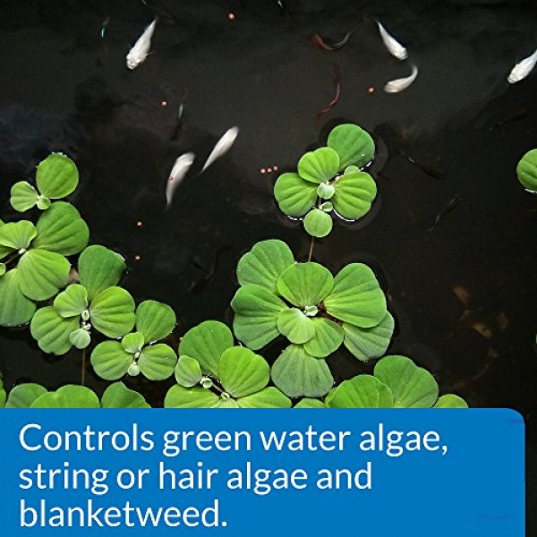 API POND ALGAEFIX Algae control 1-Gallon Bottle
