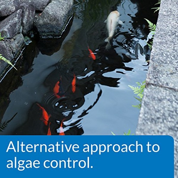 Pondcare Microbial Algae Clean Biological Inhibitor of Green Water...