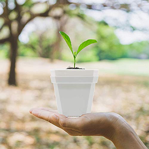 Flower Pots,Plastic Pots,Nursery Pots,Plant Planting Pot Gardening...
