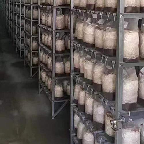 Mushroom Growing Kits Grow Bags Mushroom Spawn Grow Bags Sealable ...