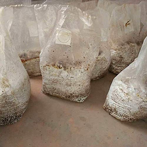 Mushroom Growing Kits Grow Bags Mushroom Spawn Grow Bags Sealable ...