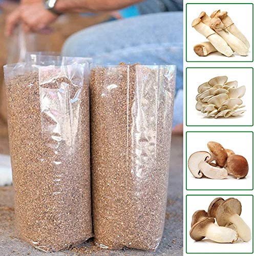 Mushroom Growing Kits Grow Bags Mushroom Spawn Grow Bags Sealable ...