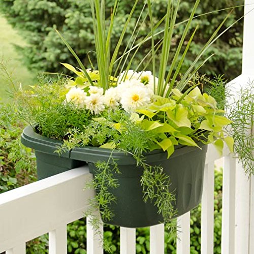 Apollo Adjustable Railing Planter, Double-Sided Green, 16 inches