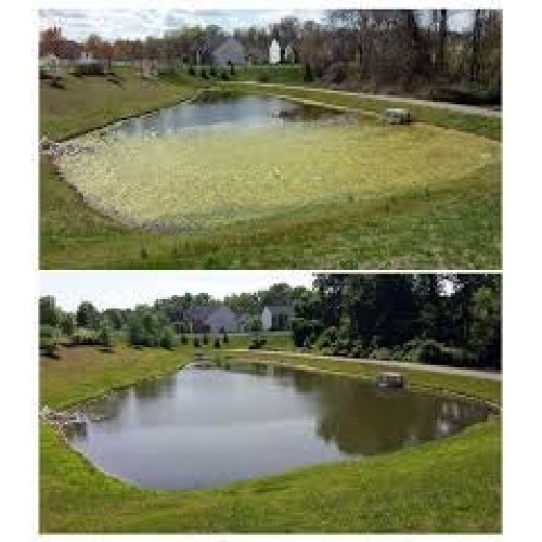 Aqua Advanced Natural Burst 2 Pack - Treats up to 250,000 Gallon...