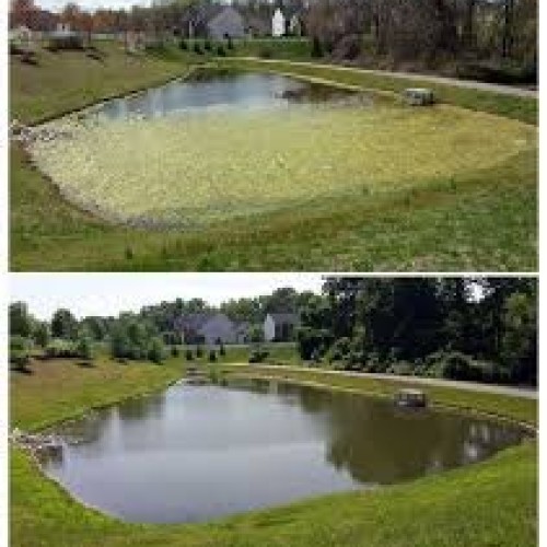 Aqua Advanced Natural Burst 2 Pack - Treats up to 250,000 Gallon...