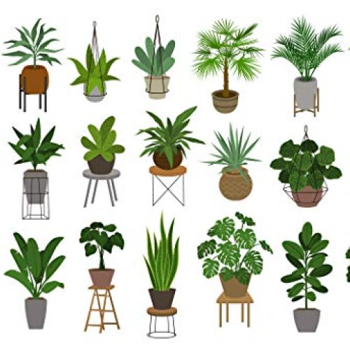 Indoor Plant Food Slow-Release Pellets All-purpose House Plant F...