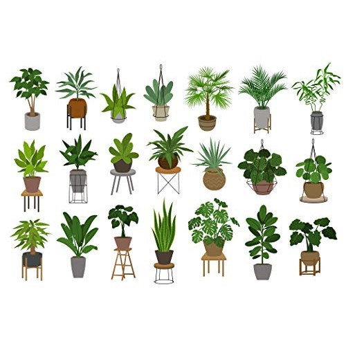 Indoor Plant Food Slow-Release Pellets All-purpose House Plant F...