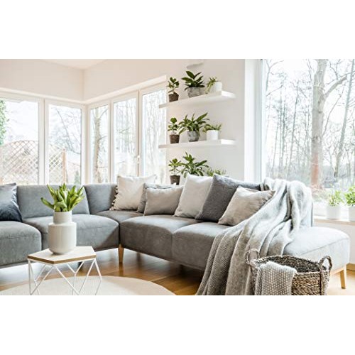 Indoor Plant Food Slow-Release Pellets All-purpose House Plant F...