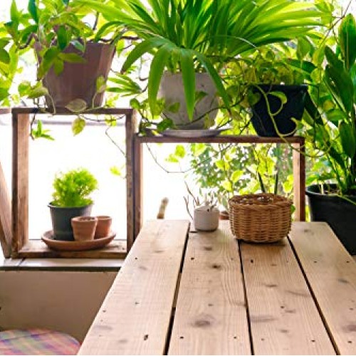 Indoor Plant Food Slow-Release Pellets All-purpose House Plant F...
