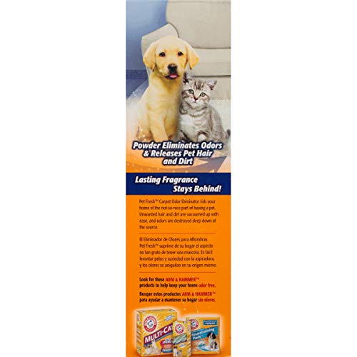 Arm & Hammer Carpet & Room Pet Fresh Odor Eliminator - 42.6 oz