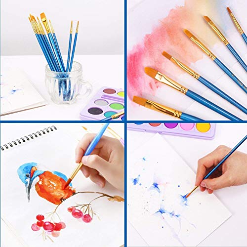 Acrylic Paint Brush Set, 6 Packs / 60 pcs Nylon Hair Brushes for A...