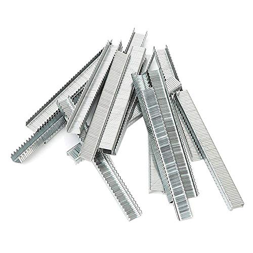 Arrow Fastener T50 506IP 3/8 Flat Crown Heavy Duty Steel Staples ...