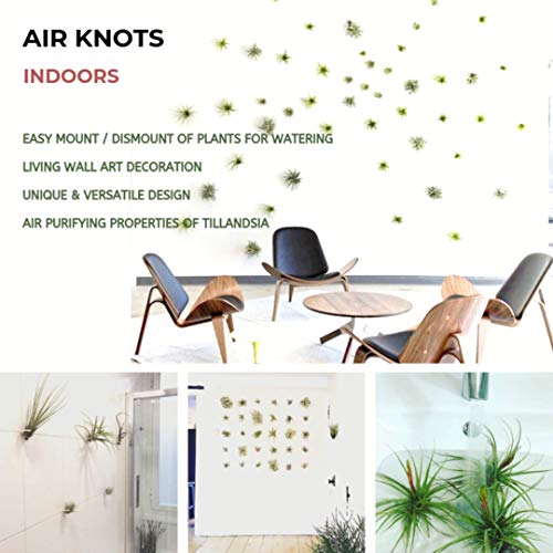 Air Plant Holder for Vertical Garden 5 Pack Air Plants House Plant...