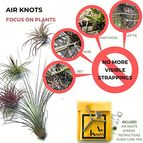 Air Plant Holder for Vertical Garden 5 Pack Air Plants House Plant...