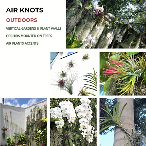Air Plant Holder for Vertical Garden 5 Pack Air Plants House Plant...