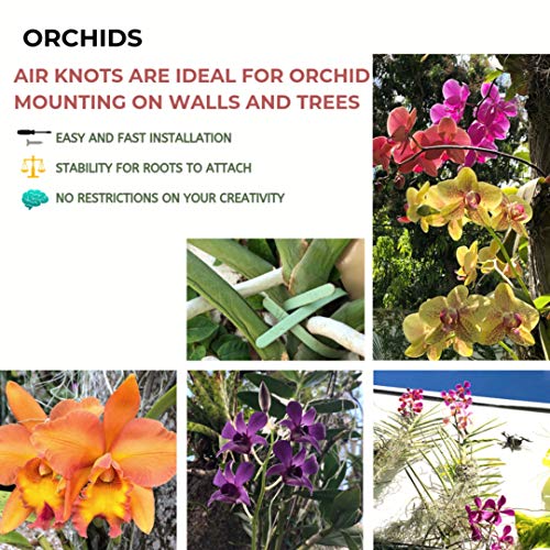 Air Plant Holder for Vertical Garden 5 Pack Air Plants House Plant...