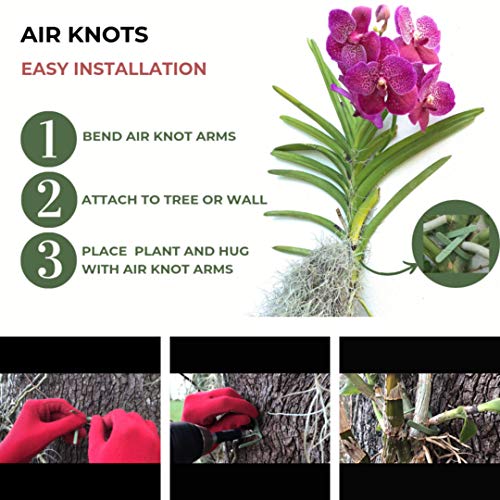 Air Plant Holder for Vertical Garden 5 Pack Wall Planter for House...