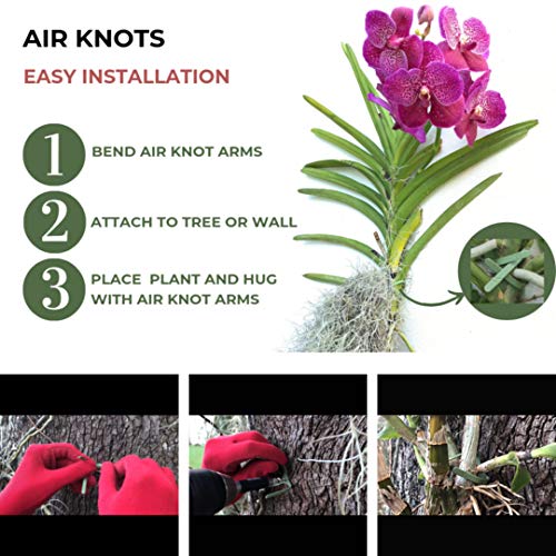 Air Plant Holder for Vertical Garden 5 Pack Wall Planter for House...