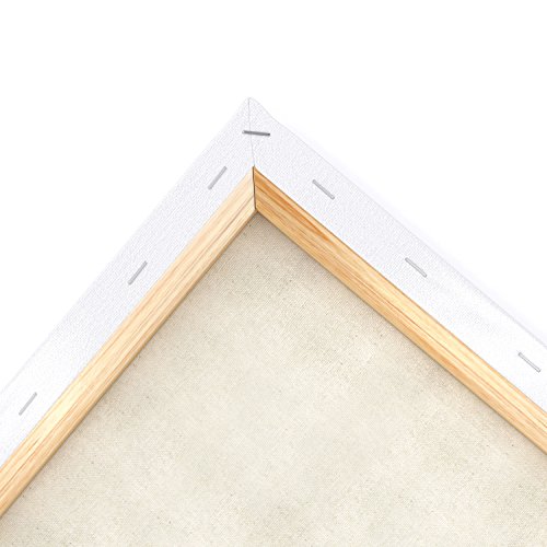 Arteza 11x14 Stretched White Blank Canvas, Bulk Pack of 8, Primed...