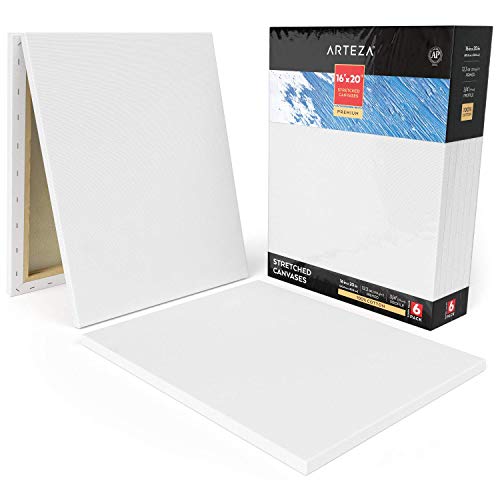 Arteza 16x20 Premium Stretched Canvas, Bulk Pack of 6, Primed, 10...