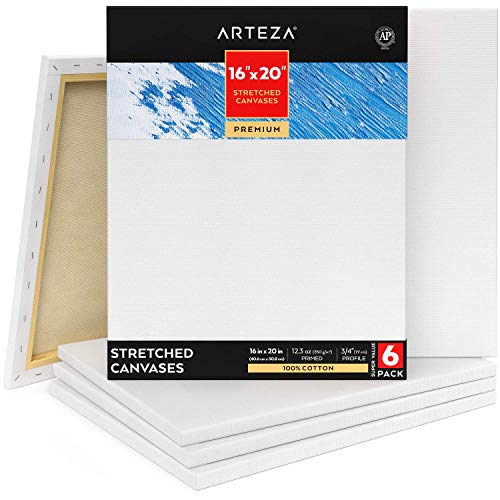Arteza 16x20 Premium Stretched Canvas, Bulk Pack of 6, Primed, 10...