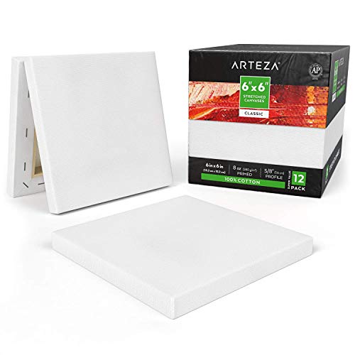 Arteza 6x6 Stretched White Blank Canvas, Bulk Pack of 12, Prim...