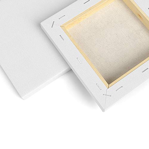 Arteza 6x6 Stretched White Blank Canvas, Bulk Pack of 12, Prim...