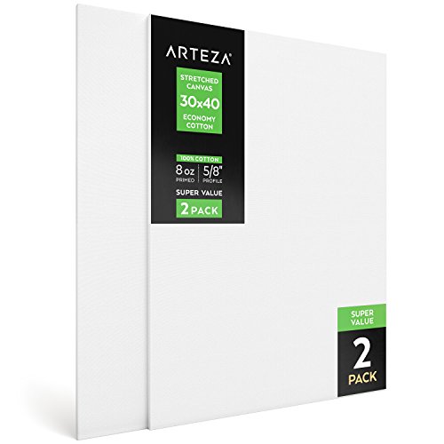 Arteza 30x40 Stretched White Blank Canvas, Bulk Pack of 2, Primed...