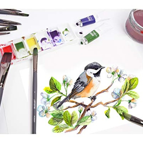 Fine Detail Paint Brush Set - 12 Piece Set Miniature Brushes for...