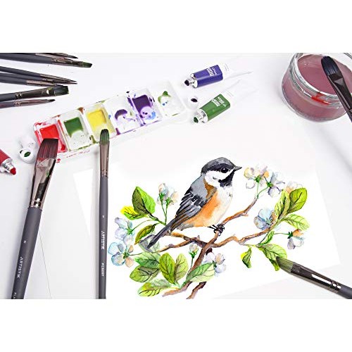 Fine Detail Paint Brush Set - 12 Piece Set Miniature Brushes for...