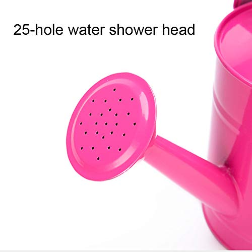 Asodomo 1.5L Multi-Color Metal Watering Can, Garden Watering Bucke...