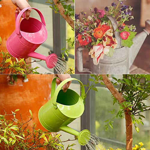 Asodomo 1.5L Multi-Color Metal Watering Can, Garden Watering Bucke...