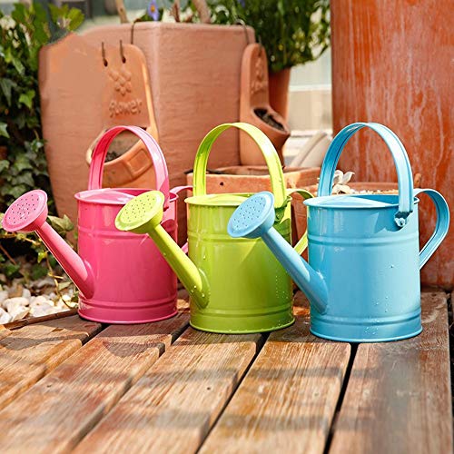 Asodomo 1.5L Multi-Color Metal Watering Can, Garden Watering Bucke...