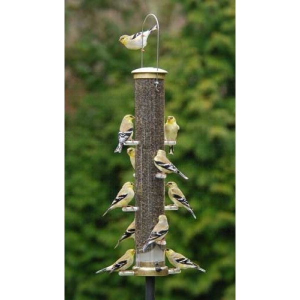 Aspects 403 Quick-Clean Thistle Tube Feeder, Large - Antique Brass