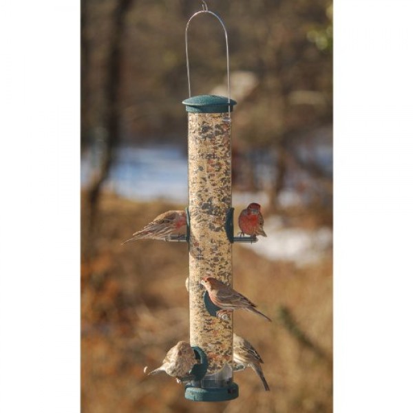 Aspects 425 Quick Clean Seed Tube Feeder, Spruce, Large
