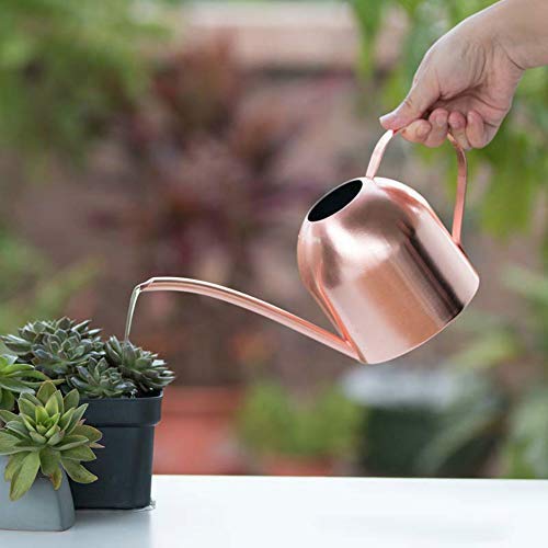 Asvert Mini Stainless Steel Watering Can for houseplants, Indoor M...