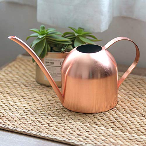Asvert Mini Stainless Steel Watering Can for houseplants, Indoor M...
