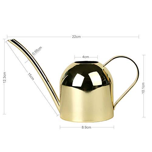 Asvert Mini Stainless Steel Watering Can for houseplants, Indoor M...