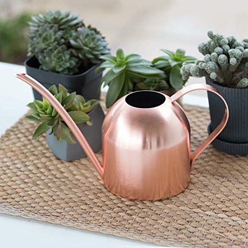 Asvert Mini Stainless Steel Watering Can for houseplants, Indoor M...