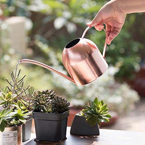Asvert Mini Stainless Steel Watering Can for houseplants, Indoor M...