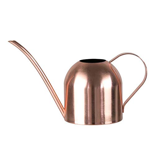 Asvert Mini Stainless Steel Watering Can for houseplants, Indoor M...