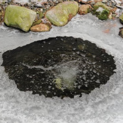 Atlantic Water Gardens Air Pump for Ponds, 30 LPM