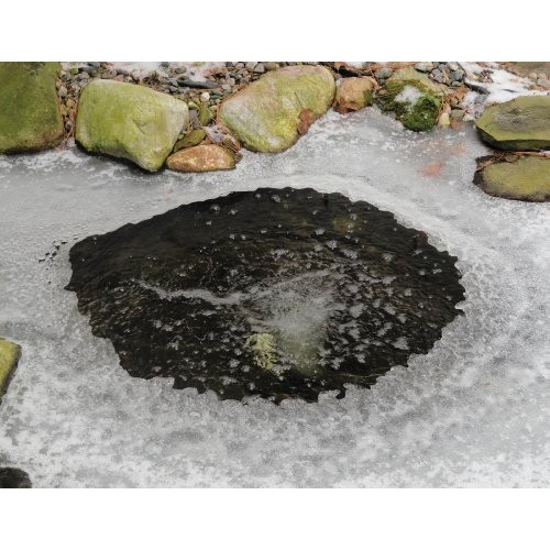 Atlantic Water Gardens Air Pump for Ponds, 30 LPM