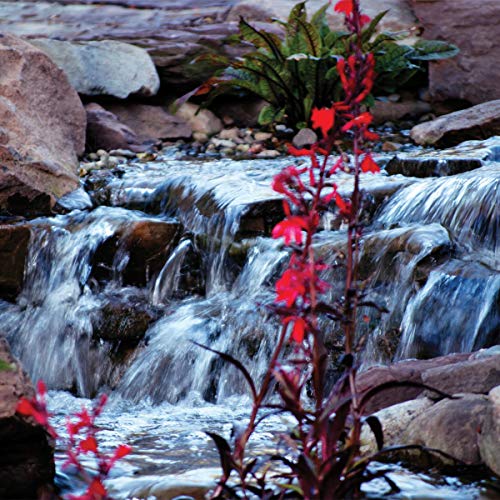 Atlantic Water Gardens TT3000 Energy Efficient Pond & Waterfall Pu...