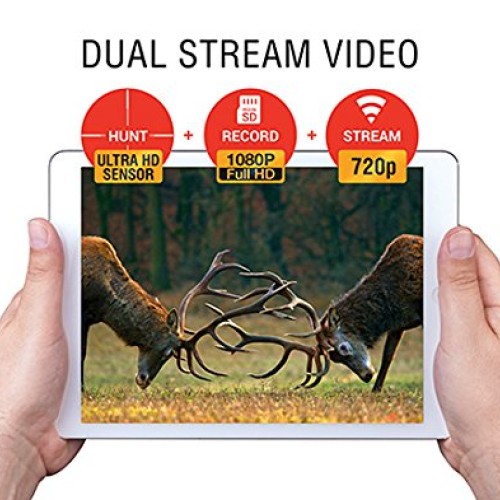 ATN Corporation X-Sight 4K PRO with Ultra HD Optics 3-14x Day/Nigh...