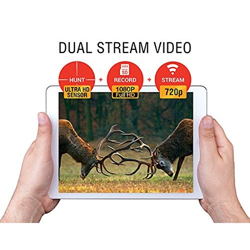 ATN Corporation X-Sight 4K PRO with Ultra HD Optics 3-14x Day/Nigh...